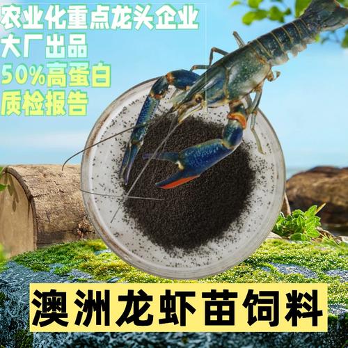 澳洲淡水龙虾苗开口料选择指南 工厂化养殖专用下沉颗粒料，不浑水更高效